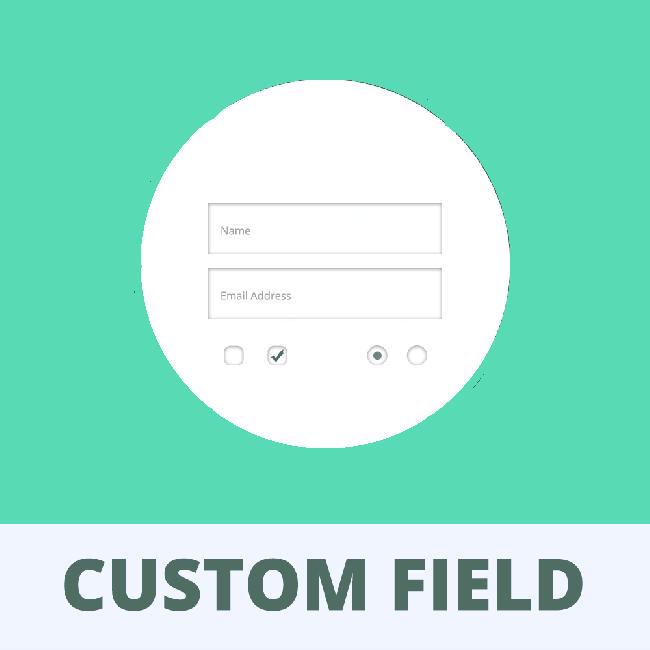 Custom Checkout field